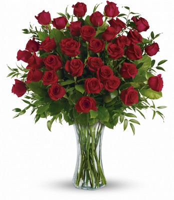 Breathtaking Roses - Three Dozen Red Roses from your local Clinton,TN florist, Knight's Flowers